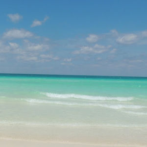 Meet your Posher, Jodi